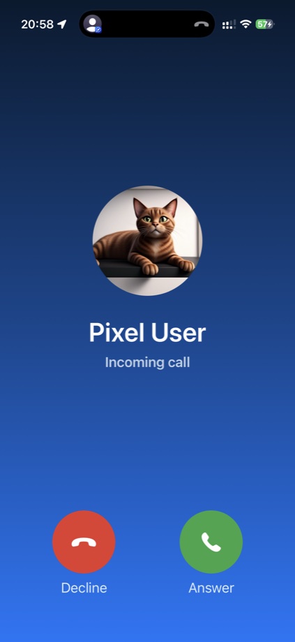 MegaMes incoming voice call screen