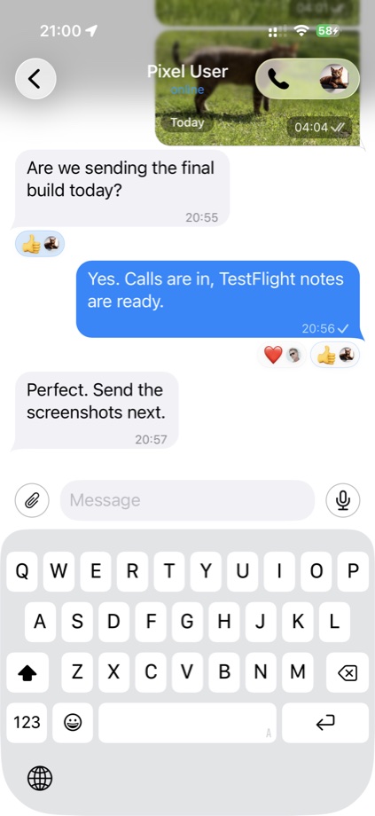 MegaMes chat with media, reactions, and message composer